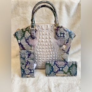 Brahmin Spellbound Ombre Melbourne set